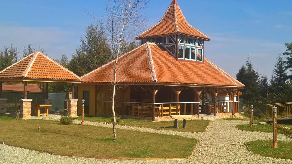 Pensiunea Casa Luanna Dragus Luaran gambar