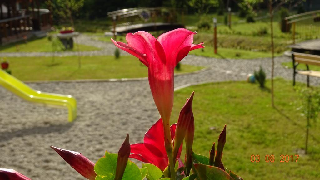 Pensiunea Casa Luanna Dragus Luaran gambar